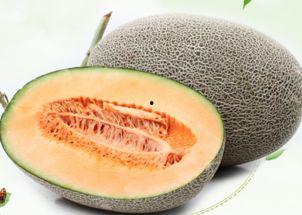 网红哈密瓜能放多久吃,保鲜技巧揭秘，教你如何延长美味时光