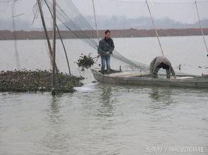 沅江新闻爆料事件,真相与舆论的交织 第2张 沅江新闻爆料事件,真相与舆论的交织 第2张